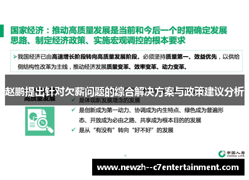 赵鹏提出针对欠薪问题的综合解决方案与政策建议分析 赵鹏提出针对欠薪问题的综合解决方案与政策建议分析