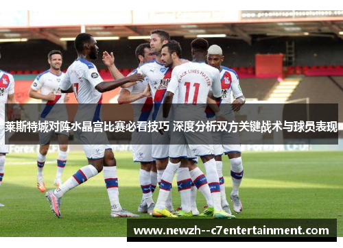莱斯特城对阵水晶宫比赛必看技巧 深度分析双方关键战术与球员表现 莱斯特城对阵水晶宫比赛必看技巧 深度分析双方关键战术与球员表现