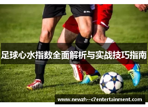 足球心水指数全面解析与实战技巧指南 足球心水指数全面解析与实战技巧指南