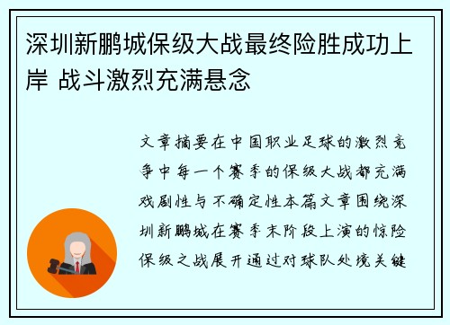 深圳新鹏城保级大战最终险胜成功上岸 战斗激烈充满悬念 深圳新鹏城保级大战最终险胜成功上岸 战斗激烈充满悬念